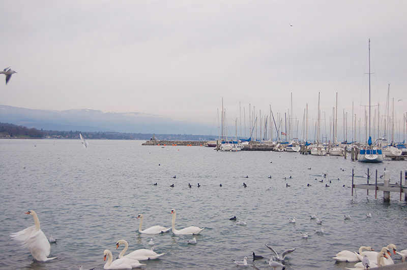 Lac Léman ou Lac de Genève (Lago Léman ou Lago de Genebra) | Inverno