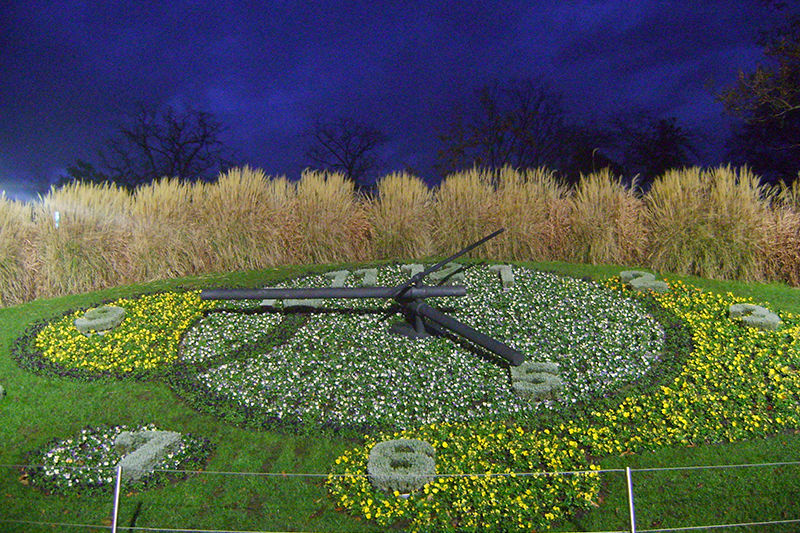 L’Horloge Fleuri – Genève (Relógio de Flores – Genebra) | Inverno